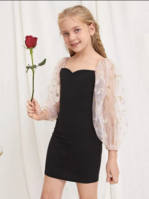 Girls Zipper Back Butterfly Print Sheer Mesh Lantern Sleeve Dress